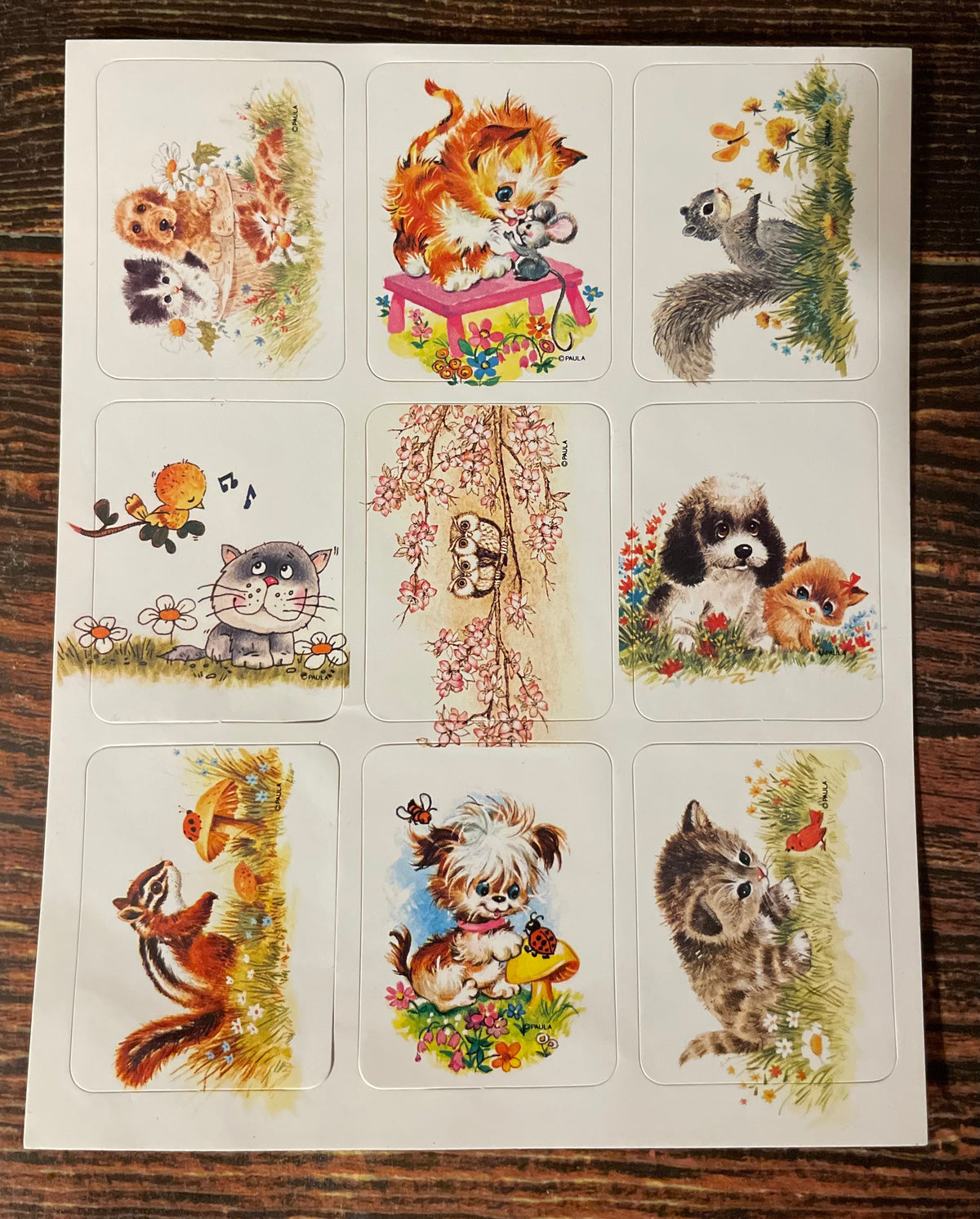 Legendary Treasure Chest: Claws and Paws Sticker