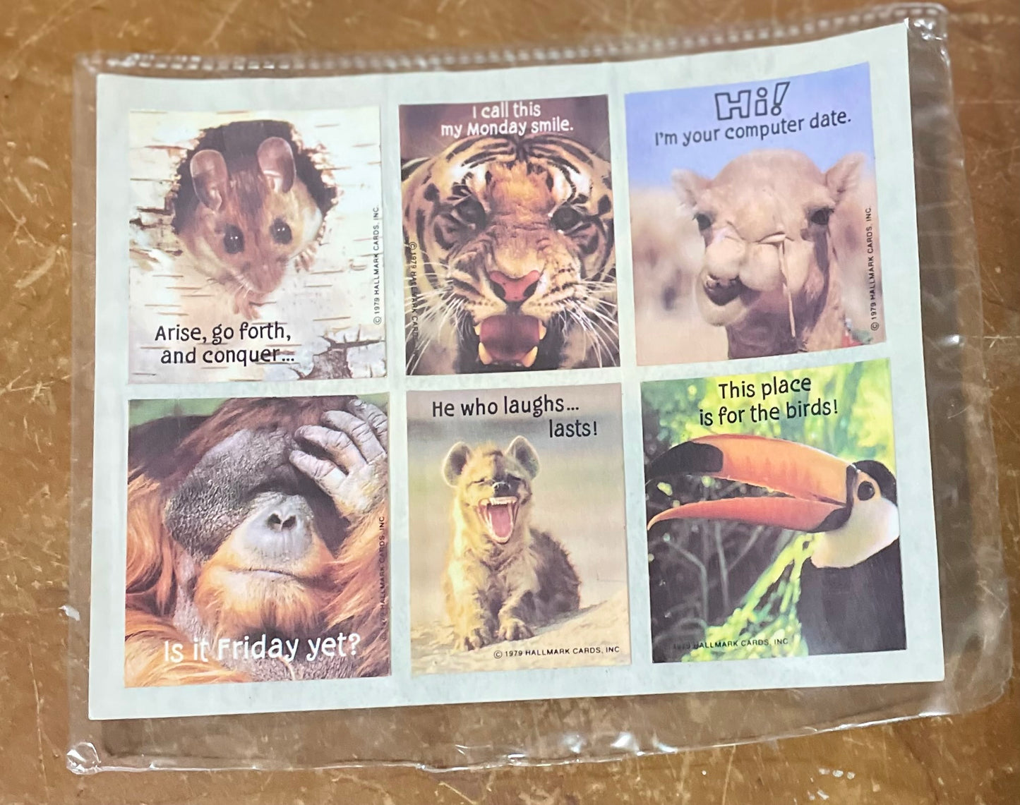 Classic Treasure Chest: Tamed to Wild Stickers