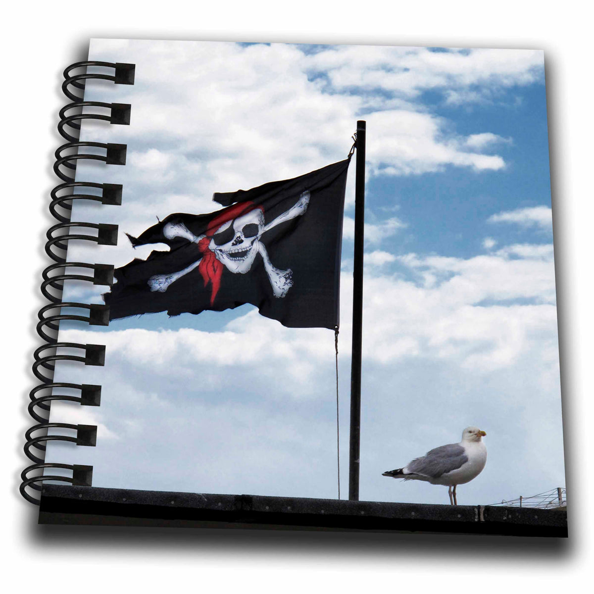 3dRose Andrea Haase Still Life Photography - Pirates Flag and Sea Gull Photography - Drawing Book