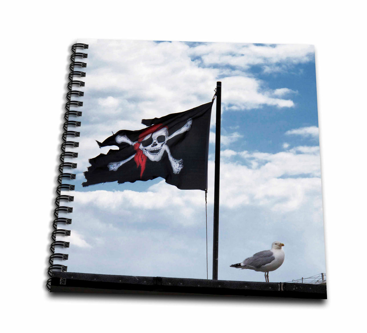 3dRose Andrea Haase Still Life Photography - Pirates Flag and Sea Gull Photography - Drawing Book