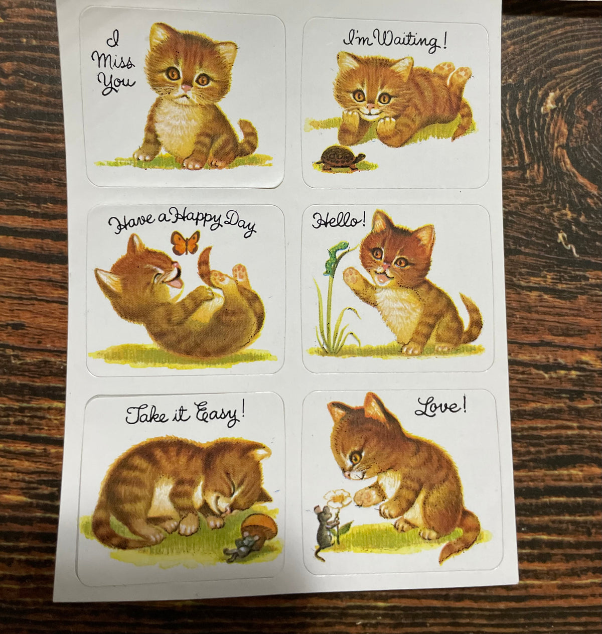 Legendary Treasure Chest: Claws and Paws Sticker