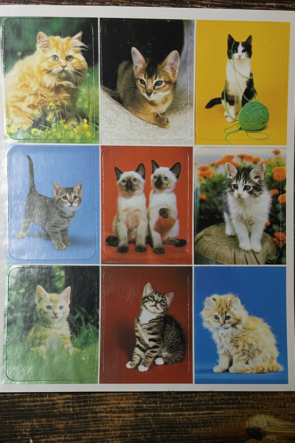 Legendary Treasure Chest: Claws and Paws Sticker