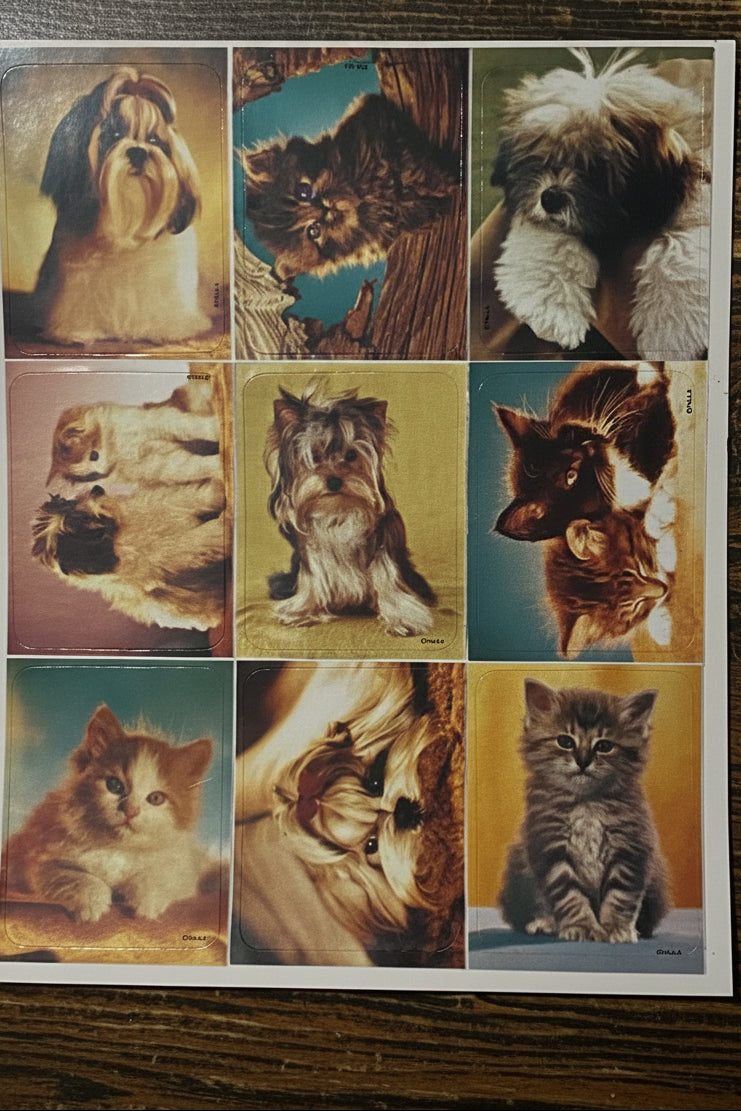 Legendary Treasure Chest: Claws and Paws Sticker