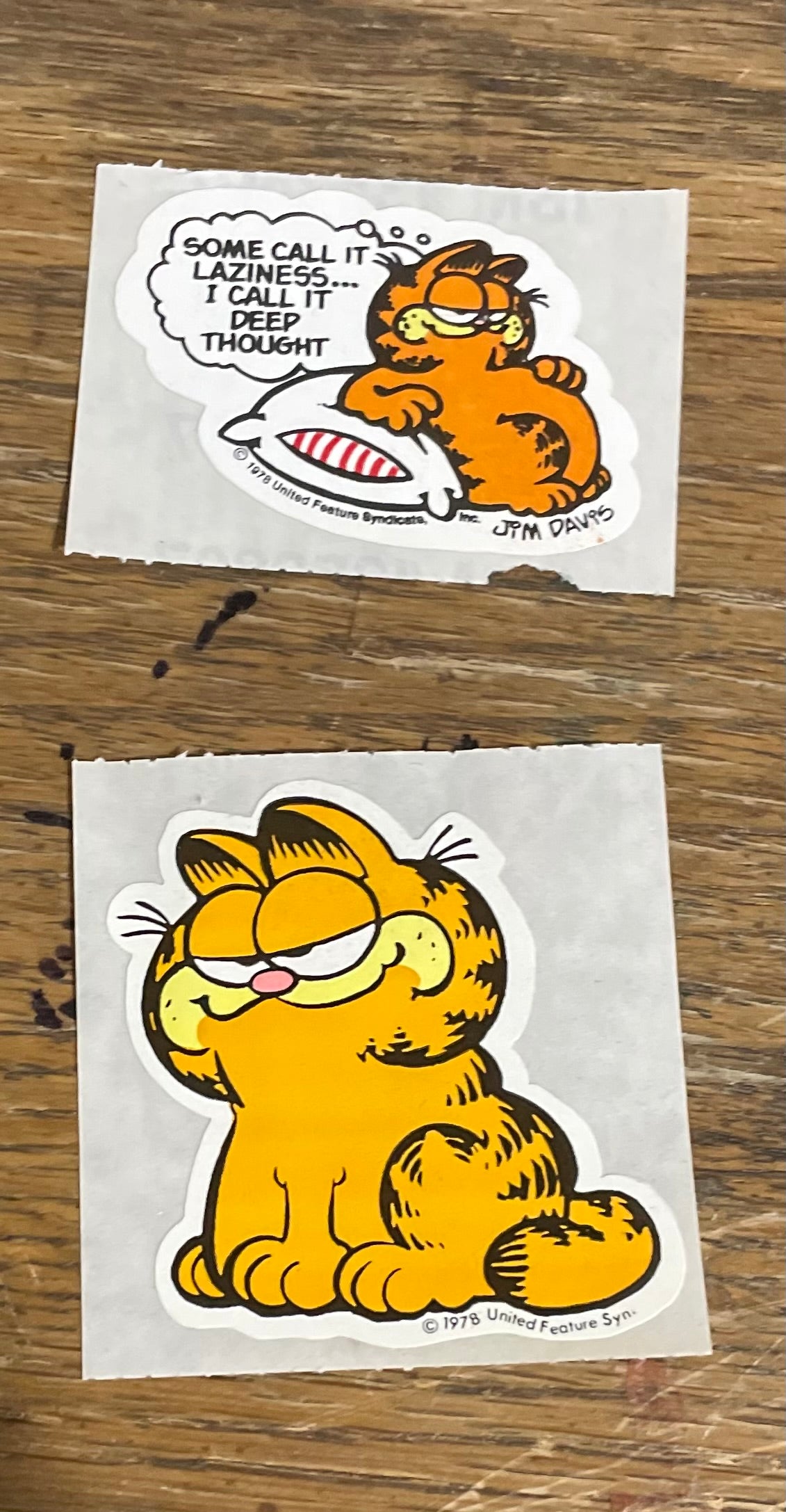 Classic Treasure Chest: The Snoopy and Garfield Duo Stickers