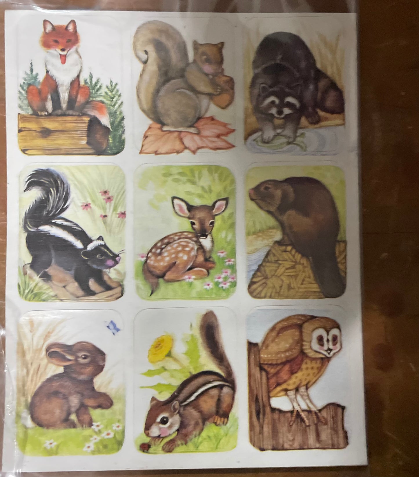 Classic Treasure Chest: Tamed to Wild Stickers