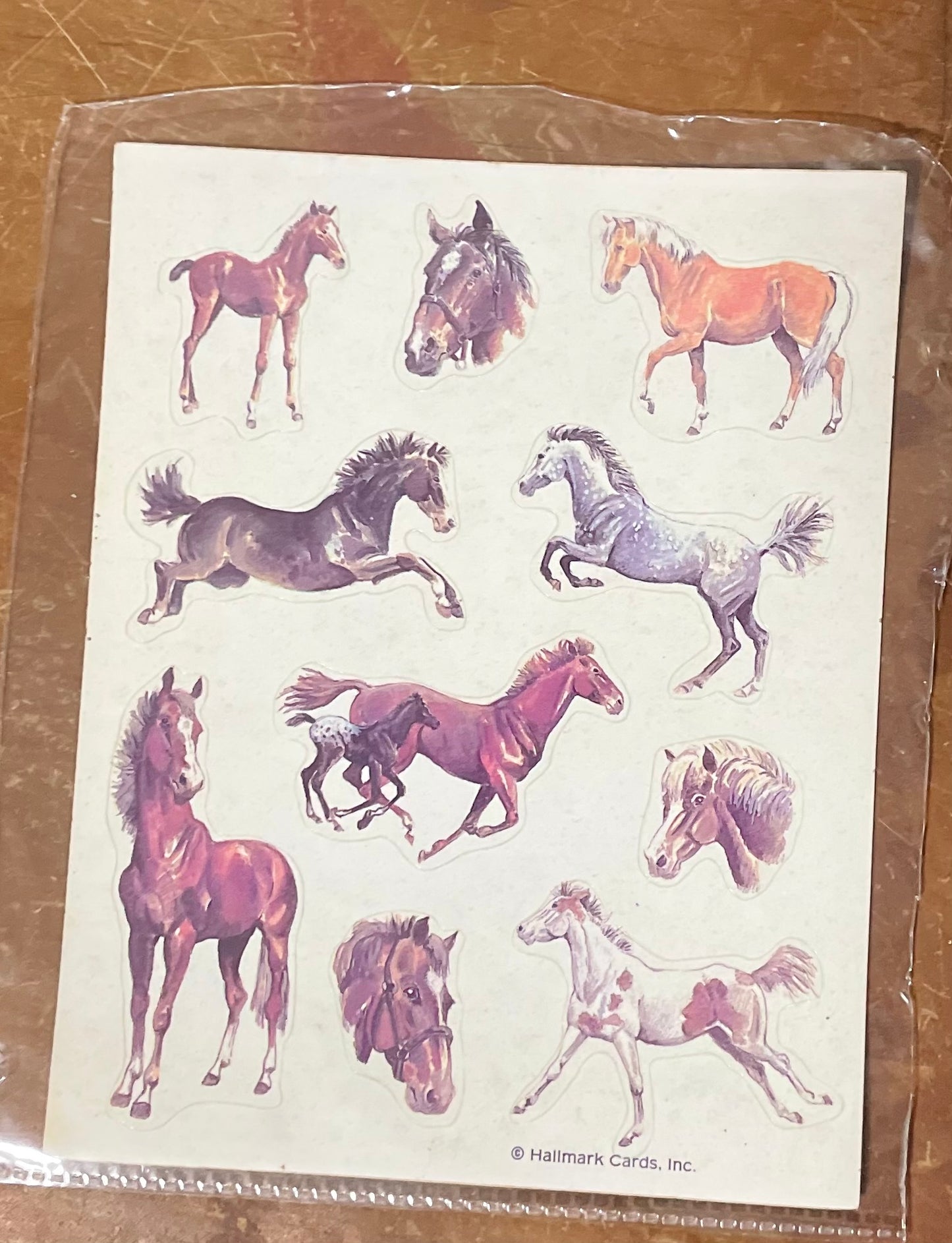 Classic Treasure Chest: Tamed to Wild Stickers