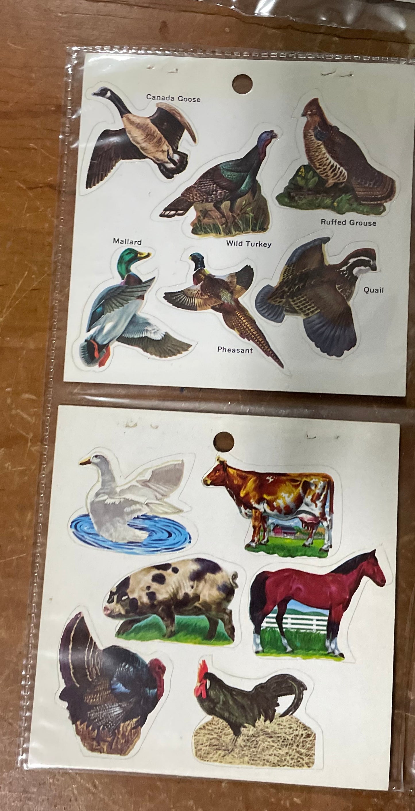 Classic Treasure Chest: Tamed to Wild Stickers