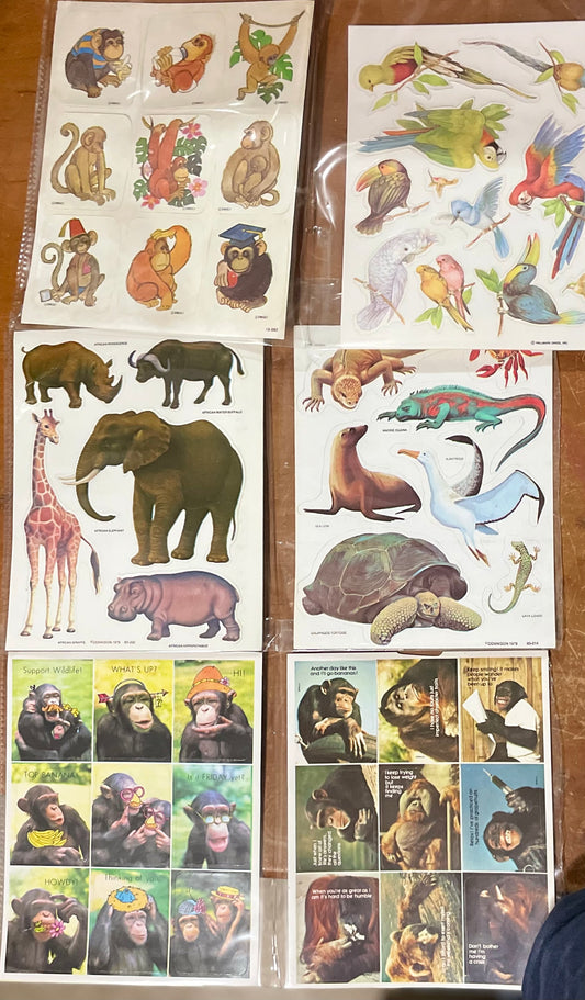 Mini Treasure Chest: Monkeying around and Going Wild