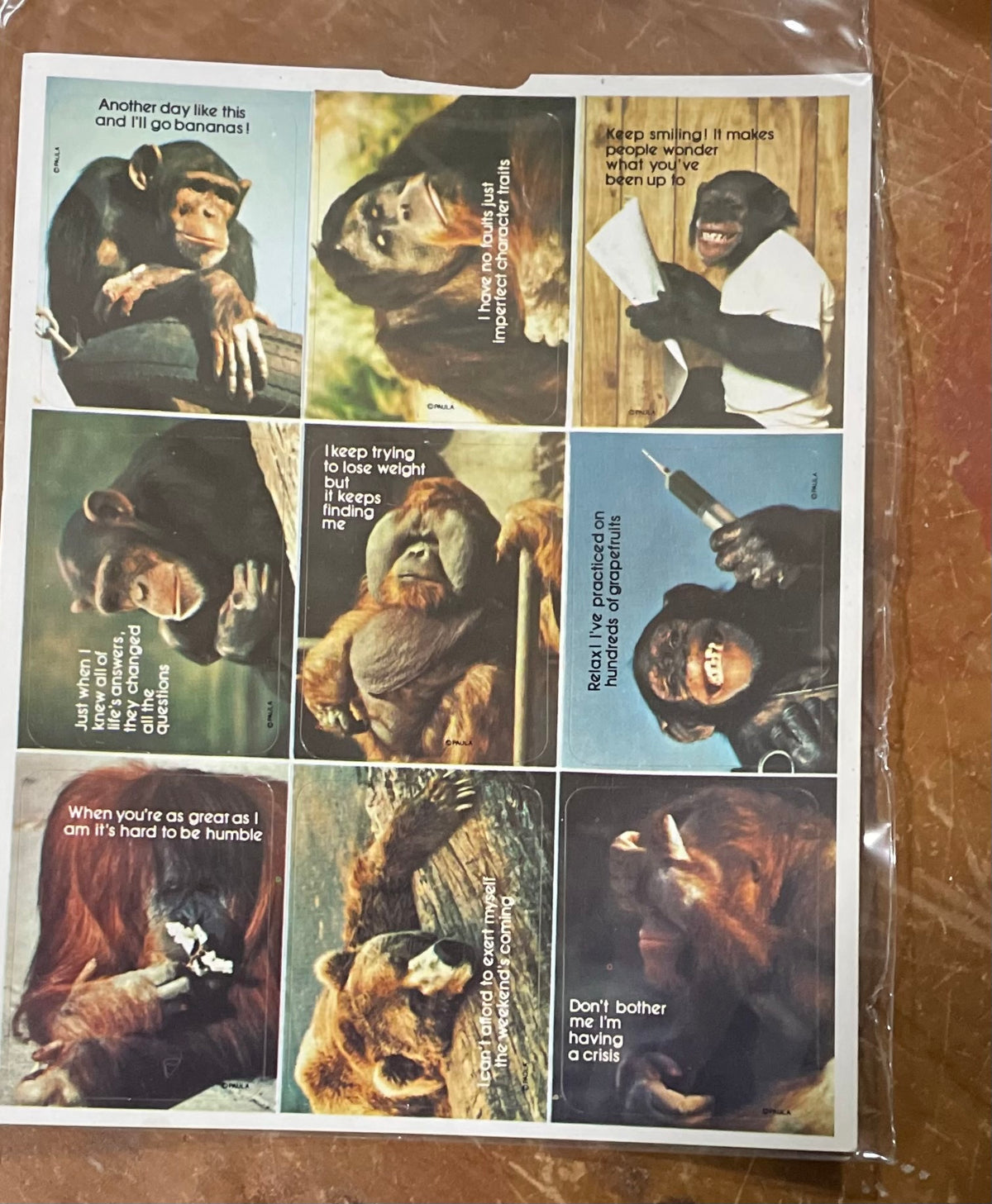 Mini Treasure Chest: Monkeying around and Going Wild