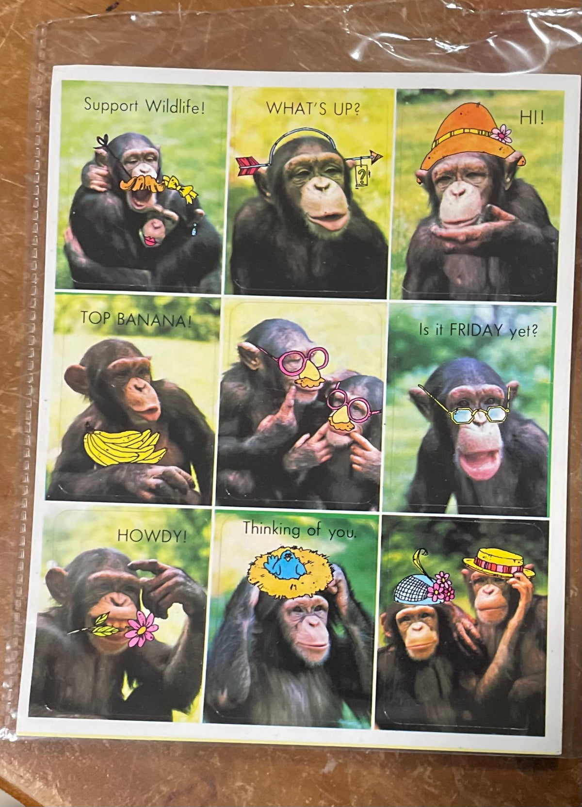 Mini Treasure Chest: Monkeying around and Going Wild