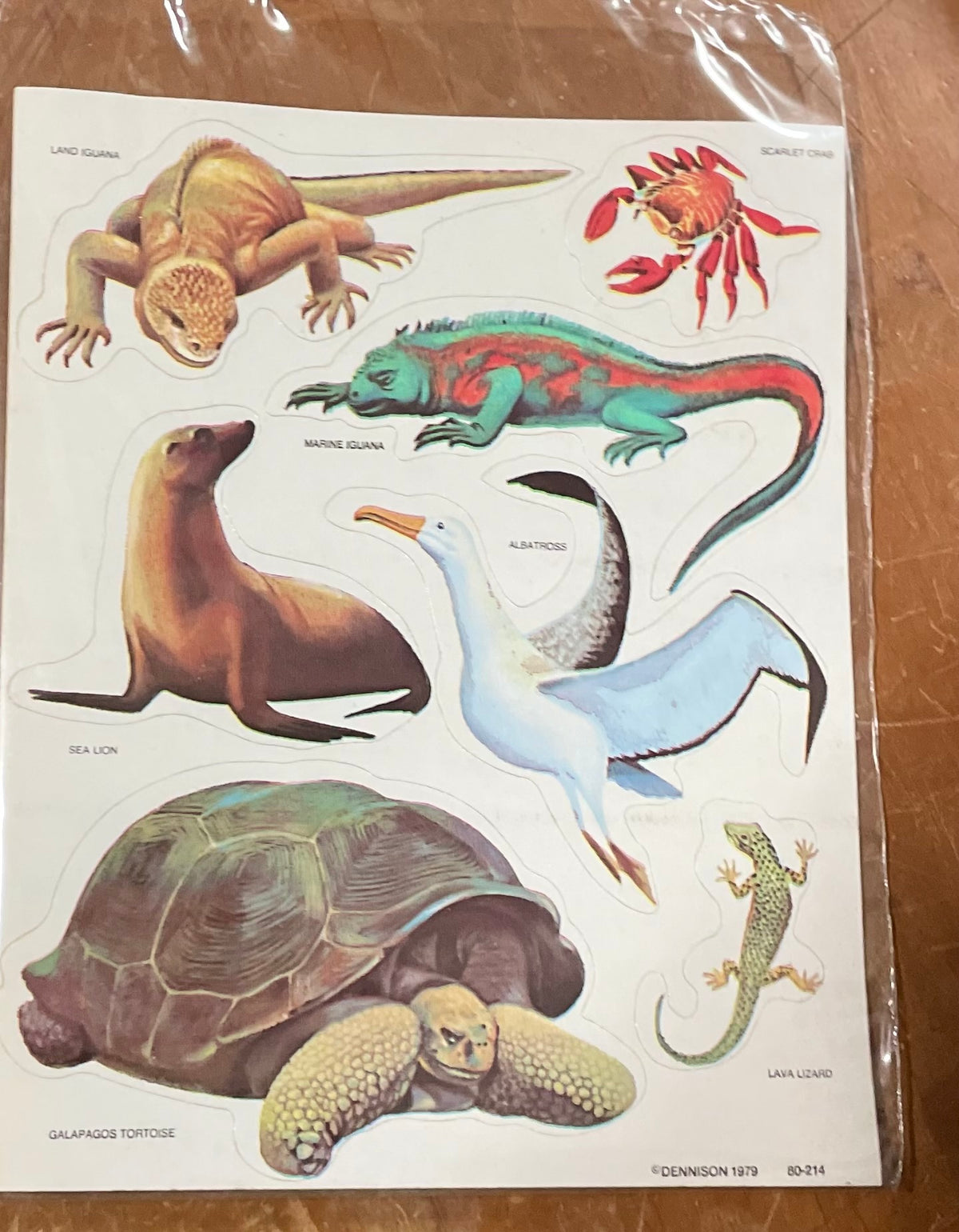 Mini Treasure Chest: Monkeying around and Going Wild